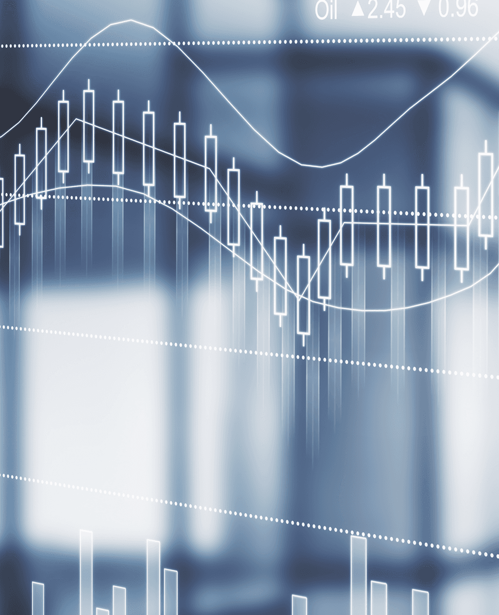 파운트 투자자문